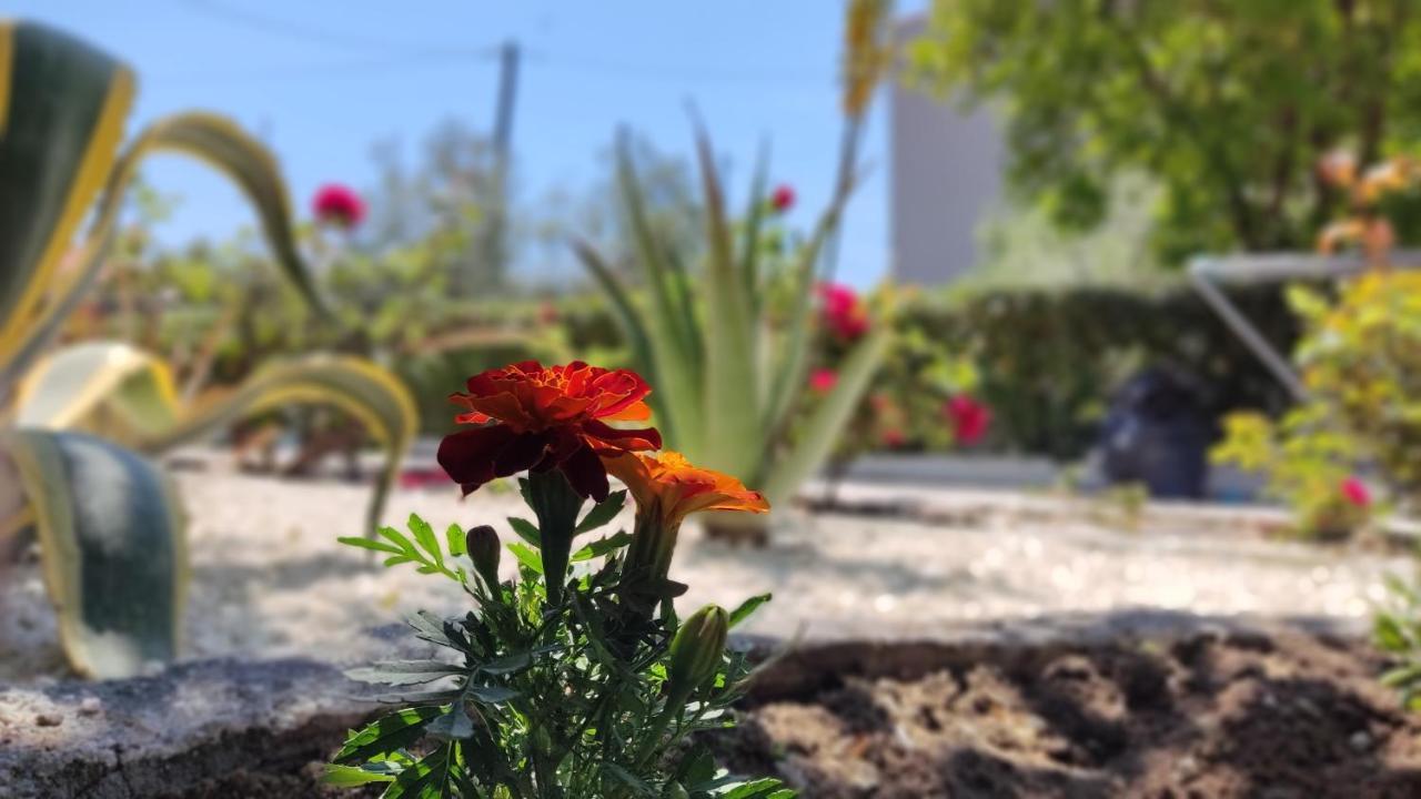 Elina House And Garden Villa Nikiti  Bagian luar foto