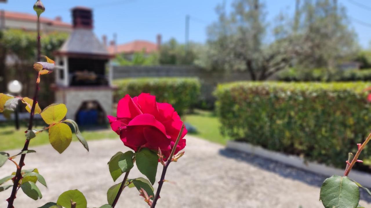 Elina House And Garden Villa Nikiti  Bagian luar foto