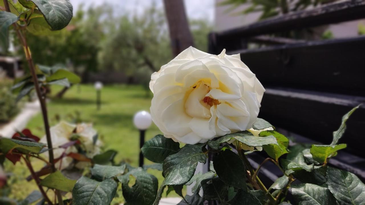 Elina House And Garden Villa Nikiti  Bagian luar foto